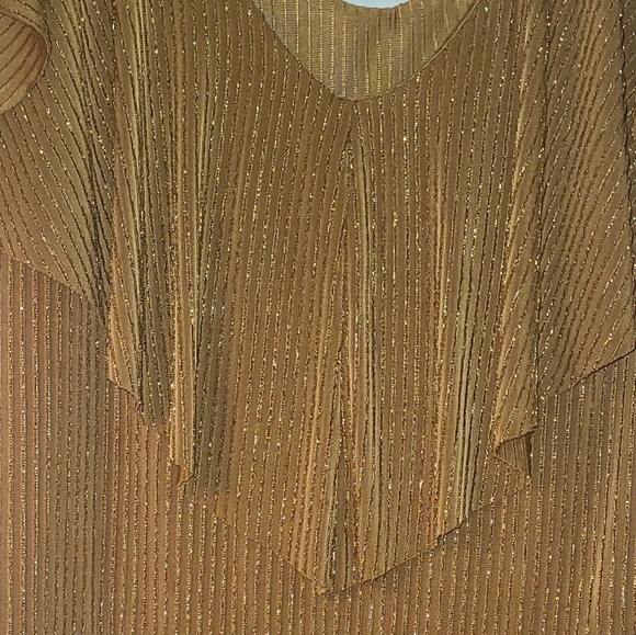 ADRIANNA PAPPEL COPPER GLITTERED TOP - Picture 8 of 9